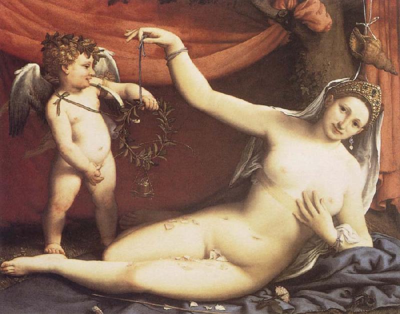 Lorenzo Lotto Venus and Cupid Germany oil painting art